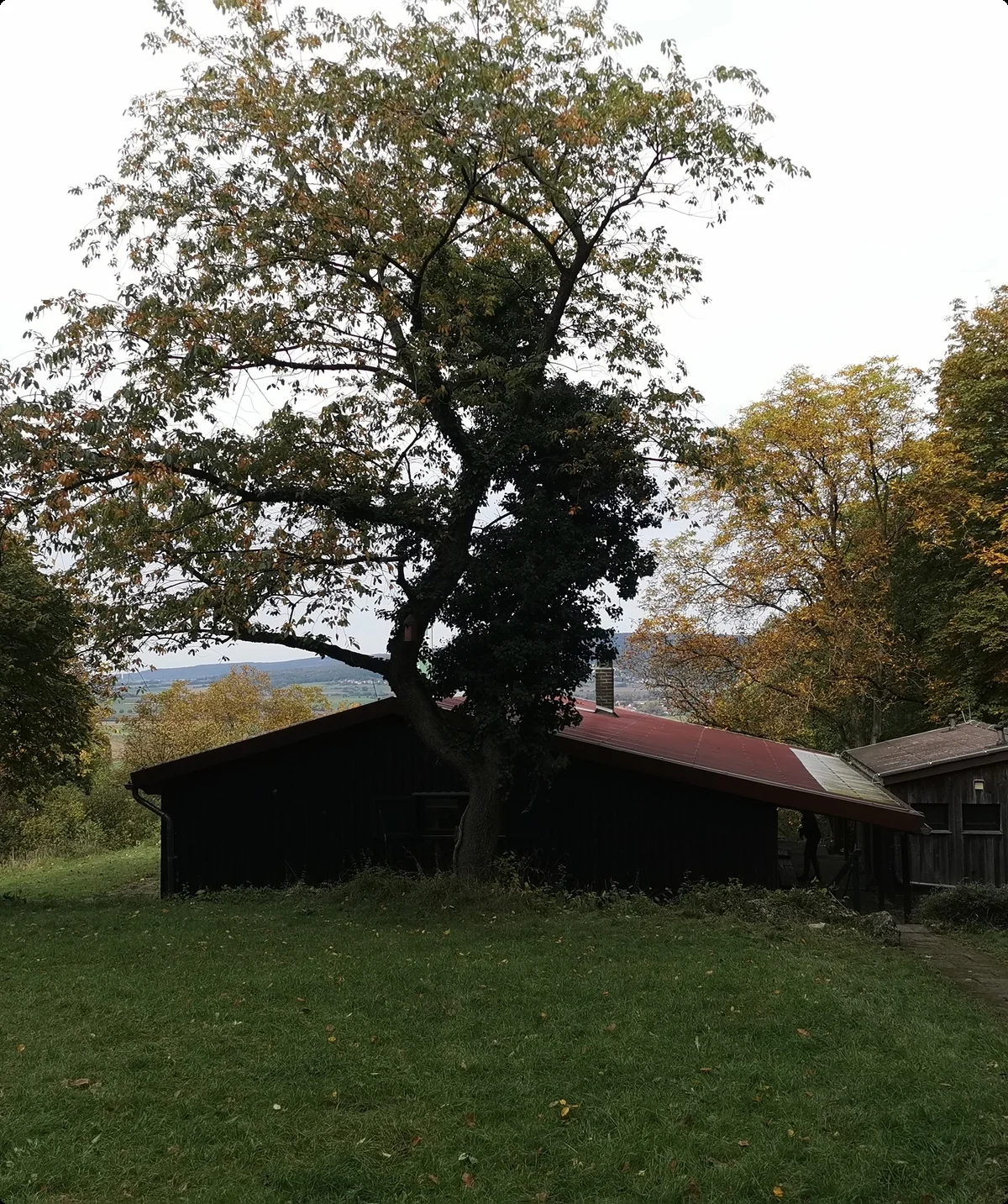 © Gunther Reeh © Gunther Reeh