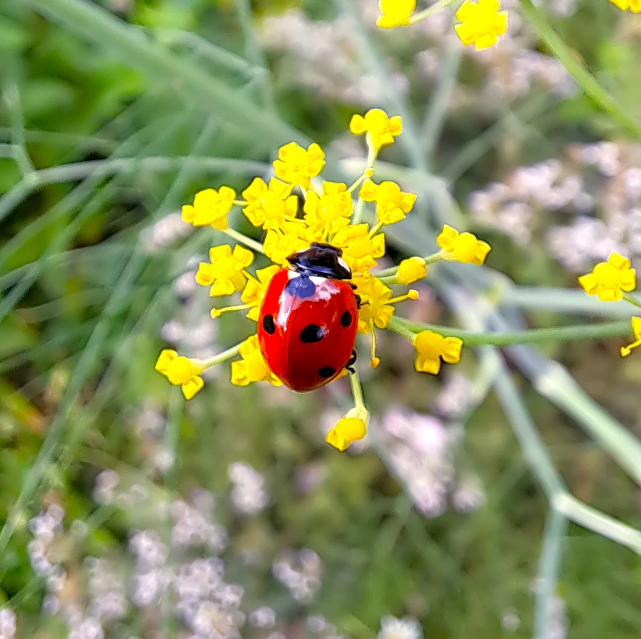 © Sabine Behrens © Sabine Behrens