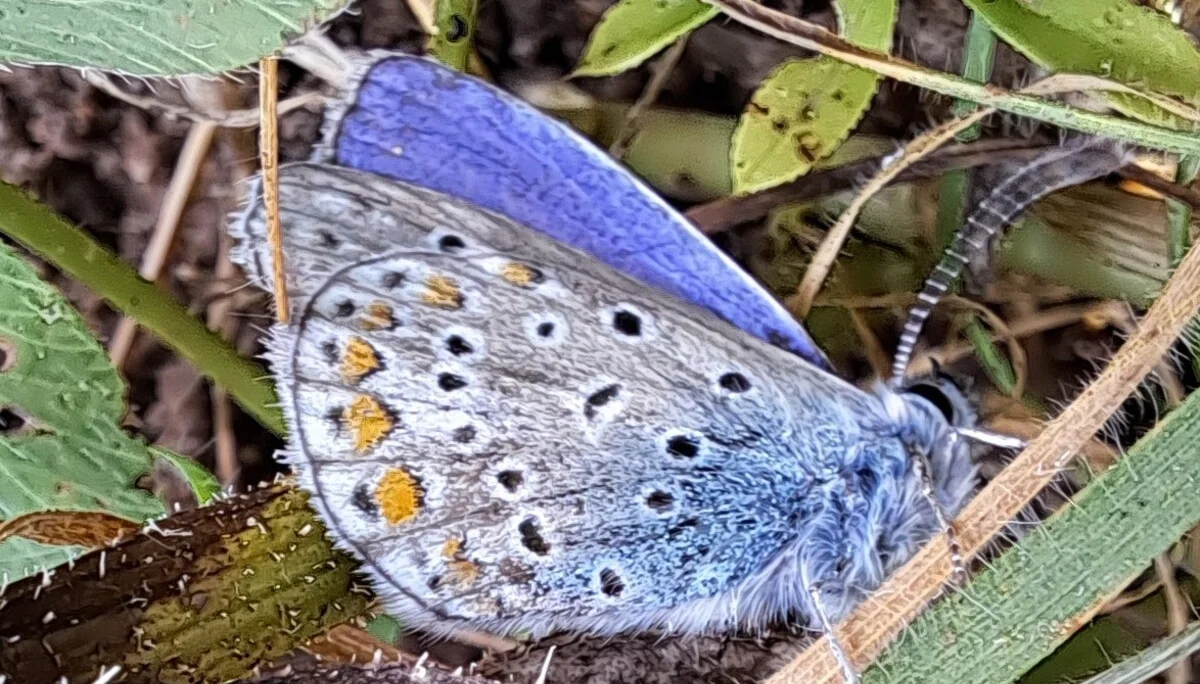 © Sabine Behrens © Sabine Behrens