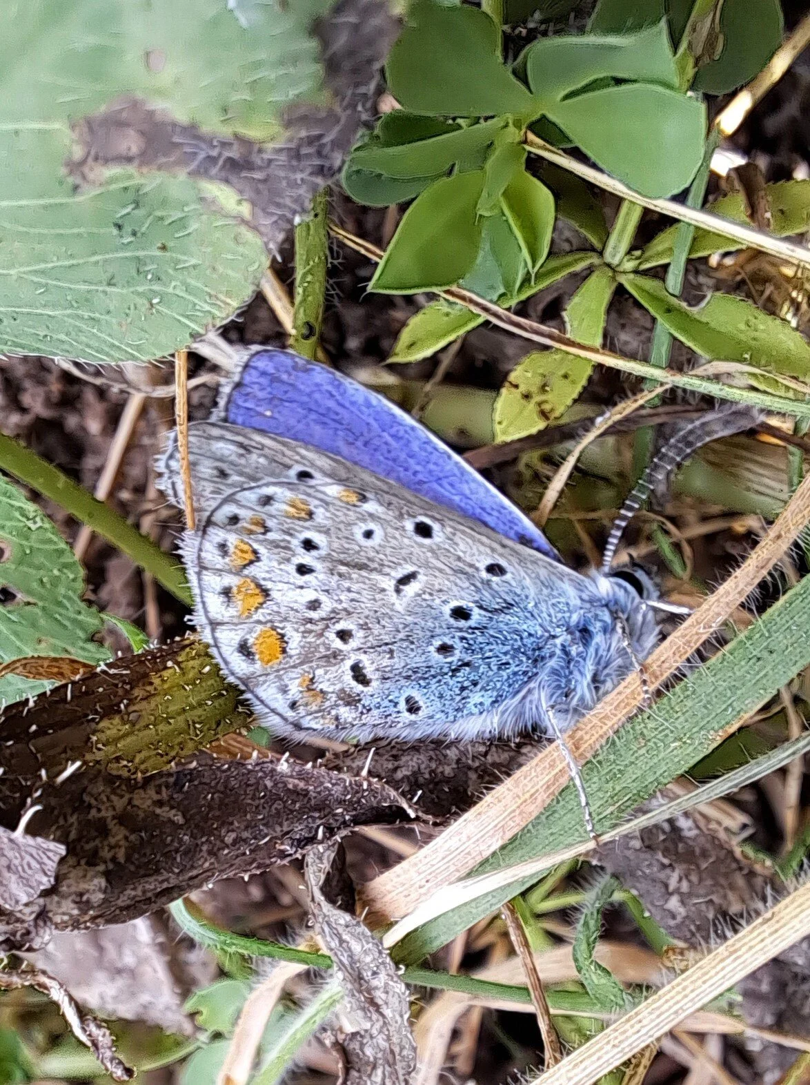 © Sabine Behrens © Sabine Behrens