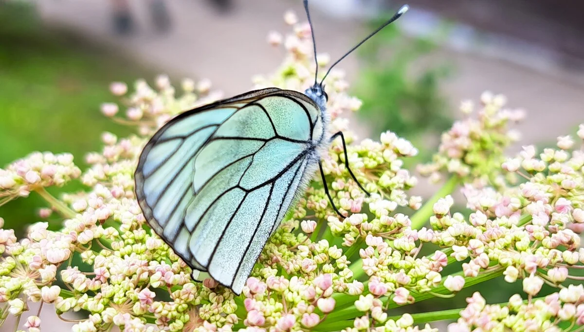 © Sabine Behrens © Sabine Behrens