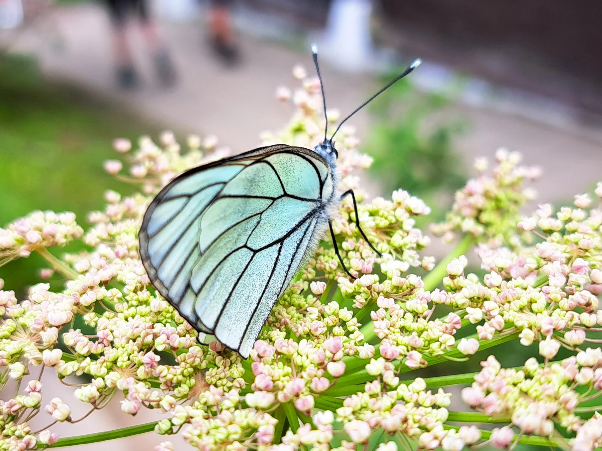 © Sabine Behrens © Sabine Behrens