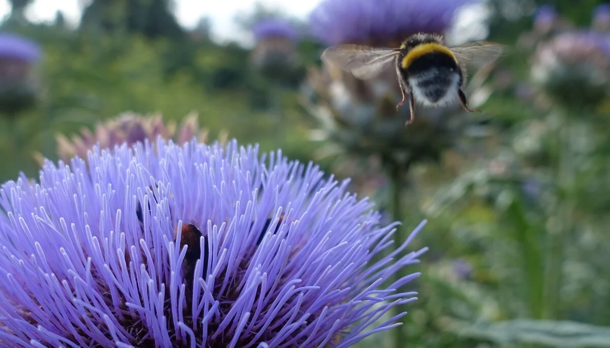 © Sabine Behrens © Sabine Behrens