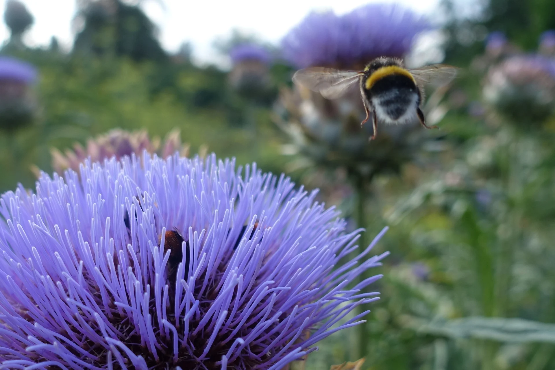 © Sabine Behrens © Sabine Behrens