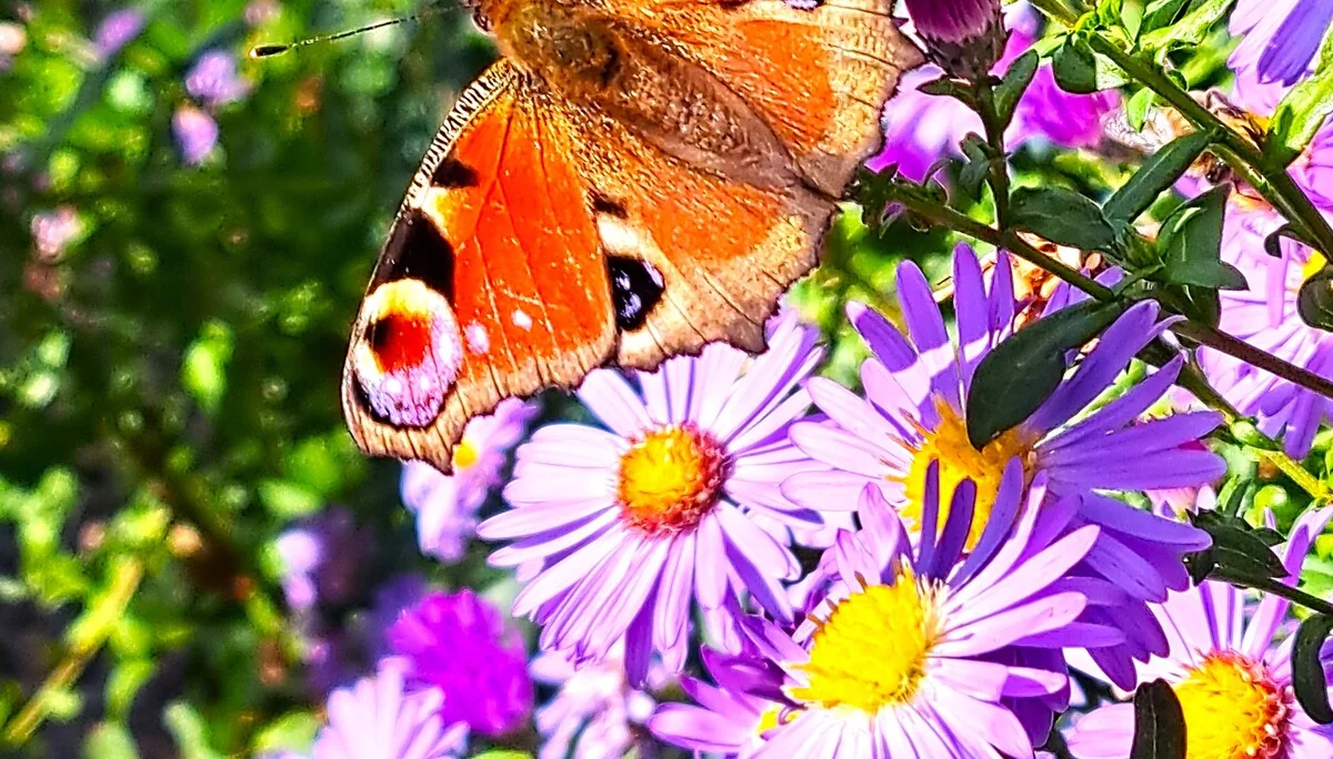 © Sabine Behrens © Sabine Behrens