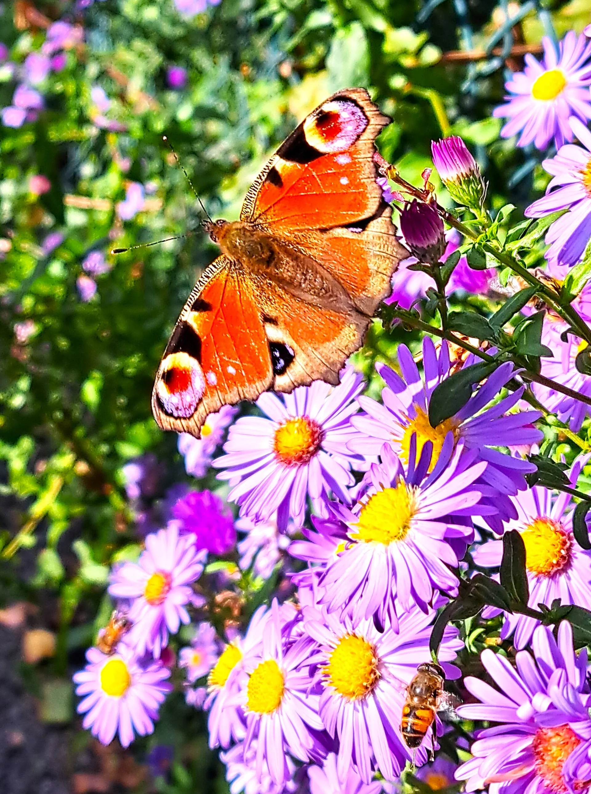 © Sabine Behrens © Sabine Behrens